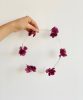 pack-alma-pourpre couronne de fleurs séchées rosa cadaques