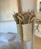 panier-canyelles4