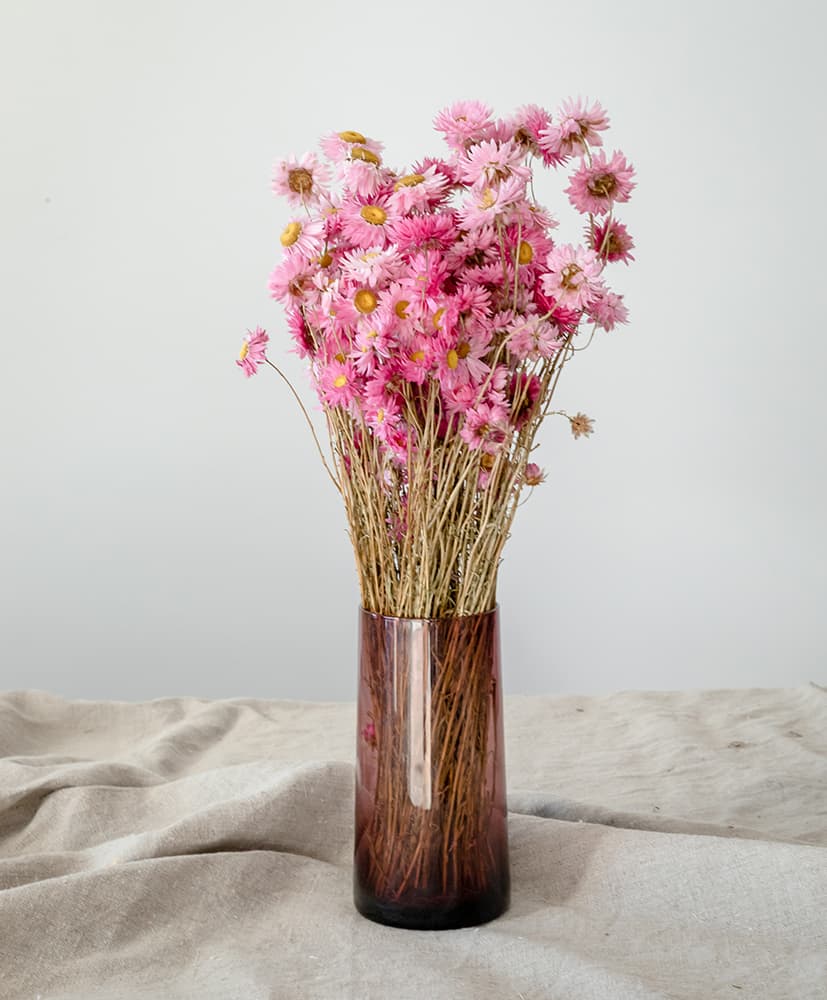 Vase fleurs séchées Rosa Cadaquès